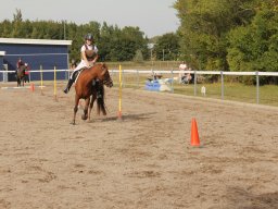 img_7484_web